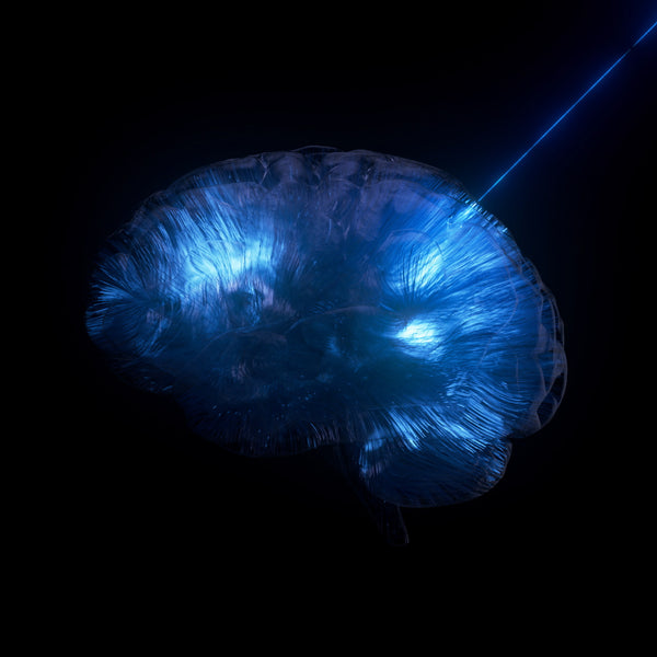 Neural Music